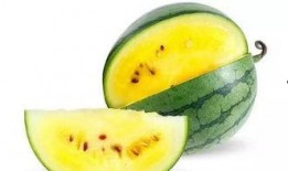 瓜瓜吃瓜ppt 吃瓜炸裂,揭秘网络“吃瓜”文化的炸裂现象